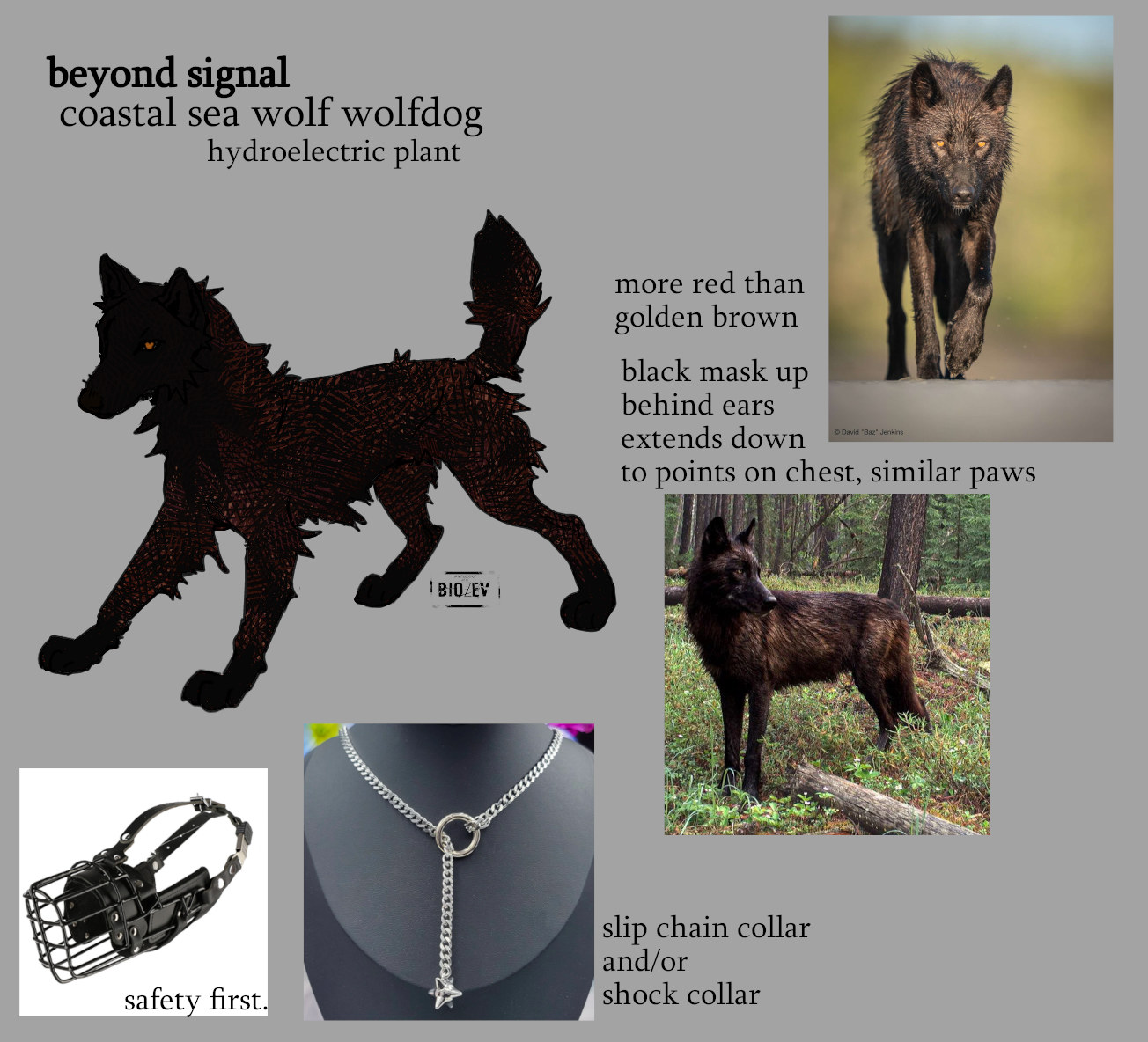 beyondsignalref.png