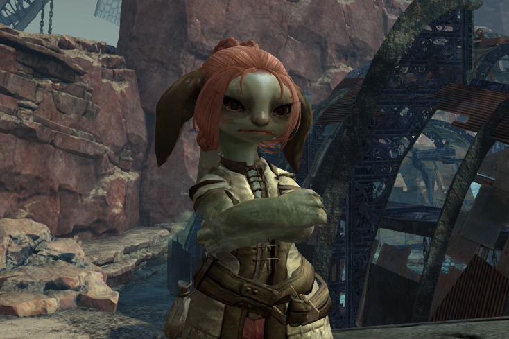 shimpie.png